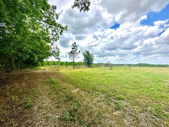 10 Acres of Residential Land for Sale in Slocomb, Alabama