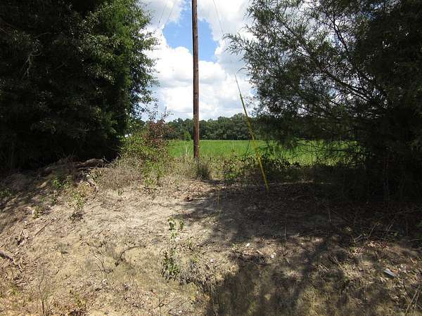 26.7 Acres of Land for Sale in Ashford, Alabama