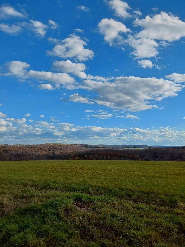 50.2 Acres of Agricultural Land for Sale in Bath, New York