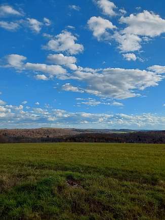 50.2 Acres of Agricultural Land for Sale in Bath, New York