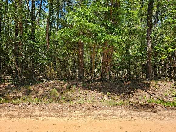 1.9 Acres of Residential Land for Sale in Daleville, Alabama