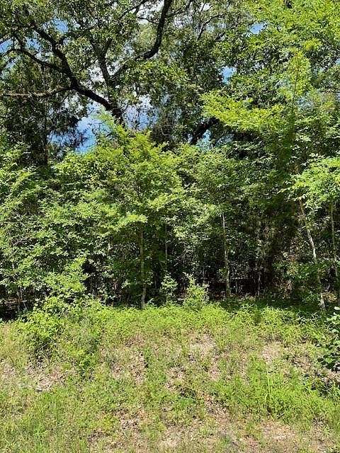 0.172 Acres of Land for Sale in Log Cabin, Texas