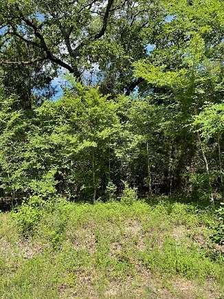 0.172 Acres of Land for Sale in Log Cabin, Texas