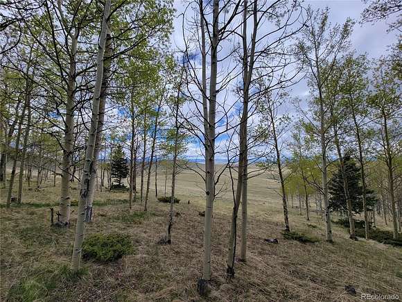 5.4 Acres of Residential Land for Sale in Hartsel, Colorado