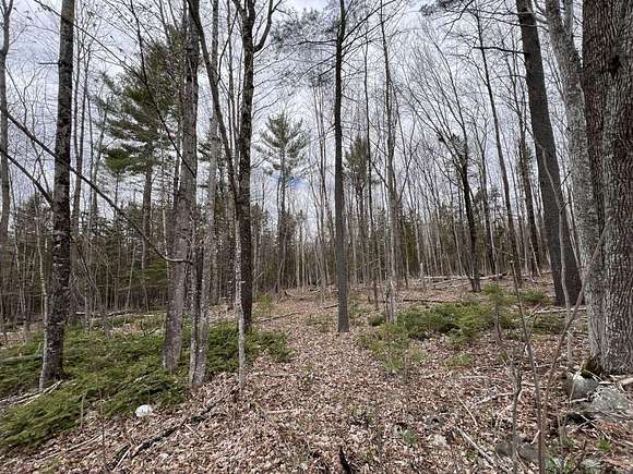 31.5 Acres of Recreational Land for Sale in Pittsfield, Maine
