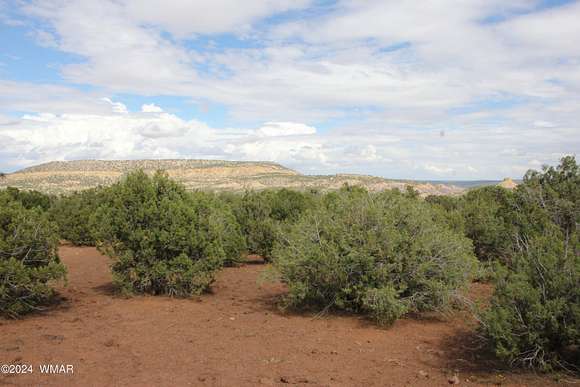 50 Acres of Recreational Land for Sale in Vernon, Arizona