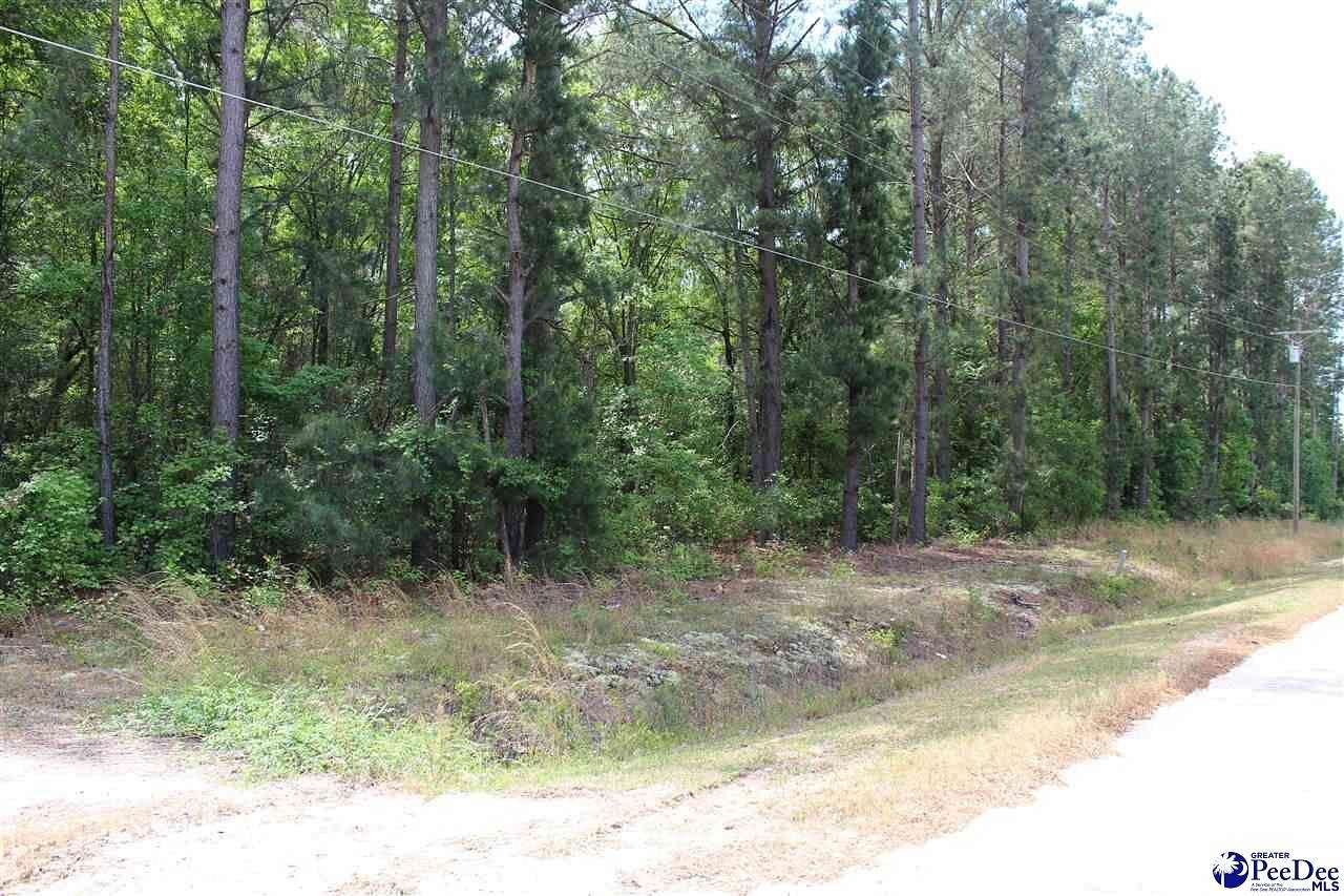 2.5 Acres of Residential Land for Sale in Hamer, South Carolina