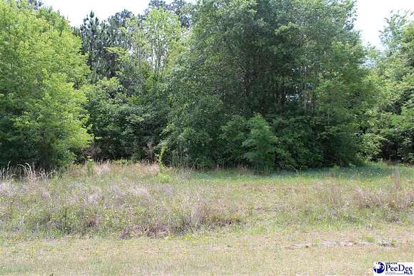 0.48 Acres of Residential Land for Sale in Hamer, South Carolina