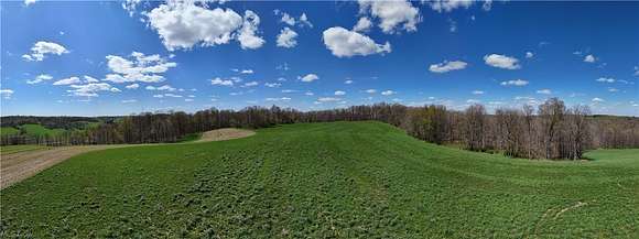 28.4 Acres of Agricultural Land for Auction in Dundee, Ohio
