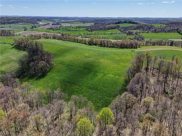 13 Acres of Agricultural Land for Auction in Dundee, Ohio