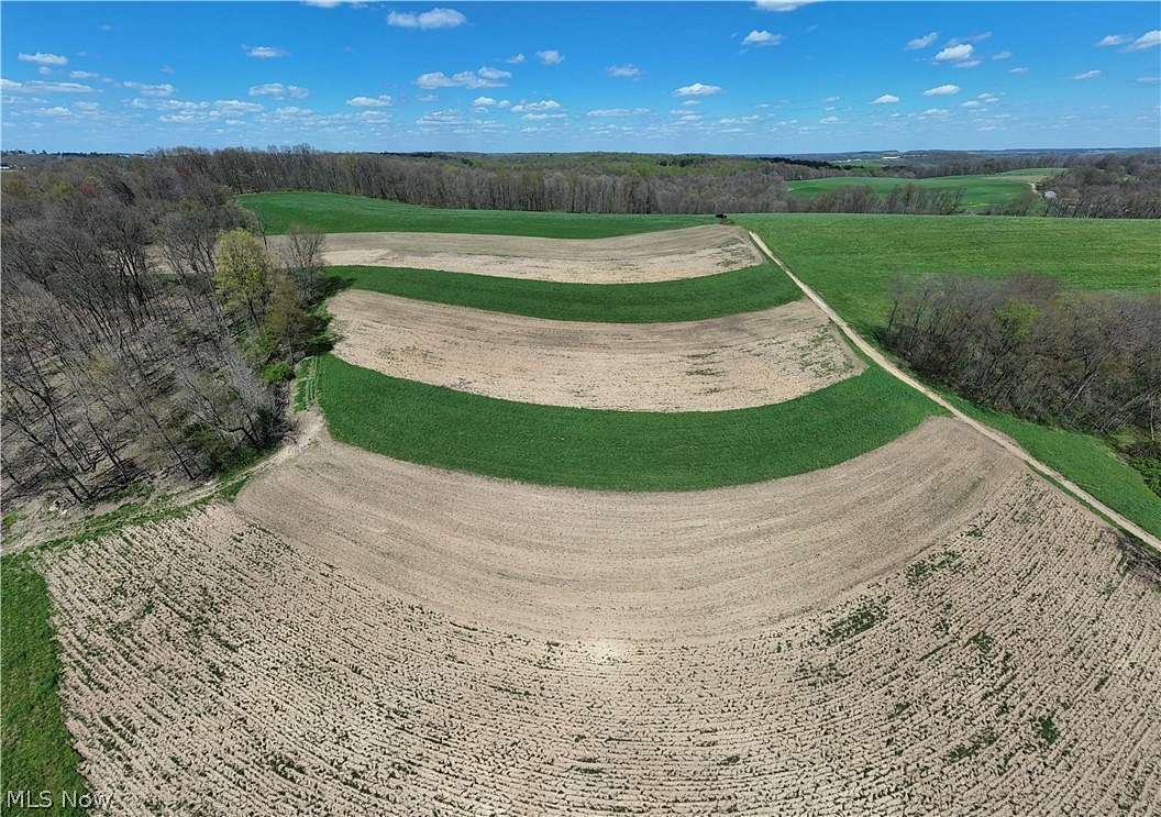 12.5 Acres of Agricultural Land for Auction in Dundee, Ohio