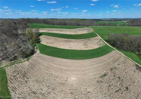 12.5 Acres of Agricultural Land for Auction in Dundee, Ohio