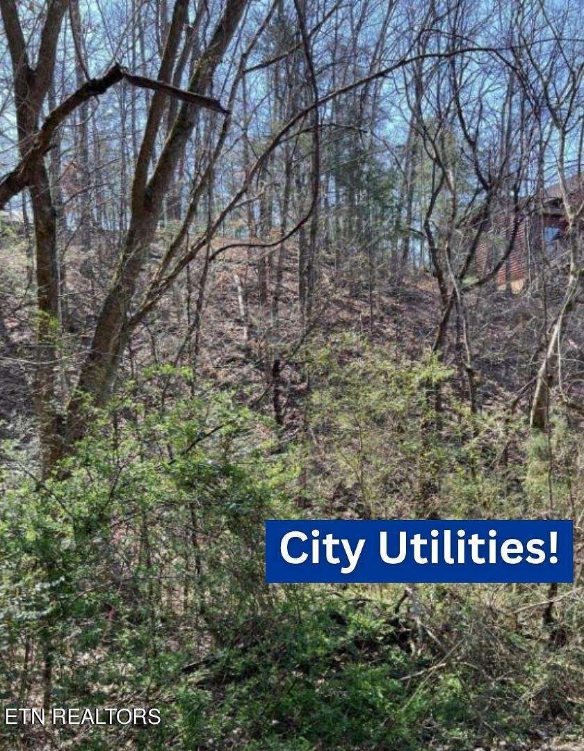 0.01 Acres of Residential Land for Sale in Pigeon Forge, Tennessee