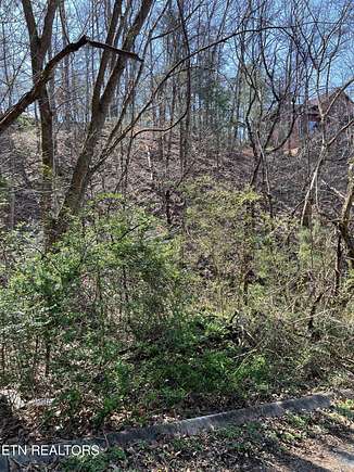 0.01 Acres of Residential Land for Sale in Pigeon Forge, Tennessee