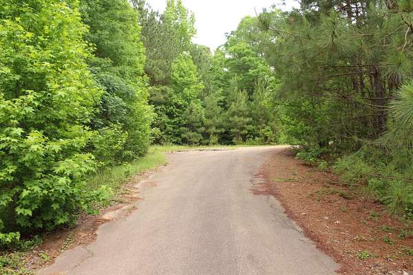 28.8 Acres of Recreational Land for Sale in Nashville, Arkansas