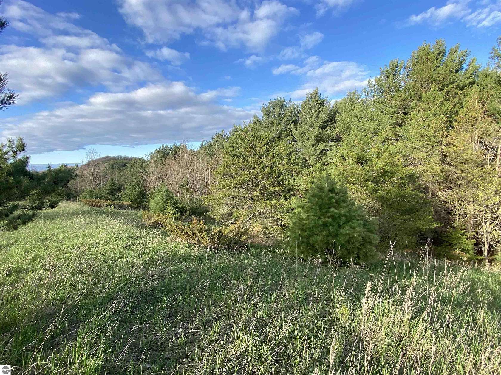 10 Acres of Land for Sale in Cedar, Michigan