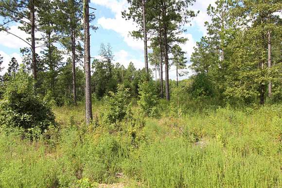 3.39 Acres of Residential Land for Sale in Sheridan, Arkansas