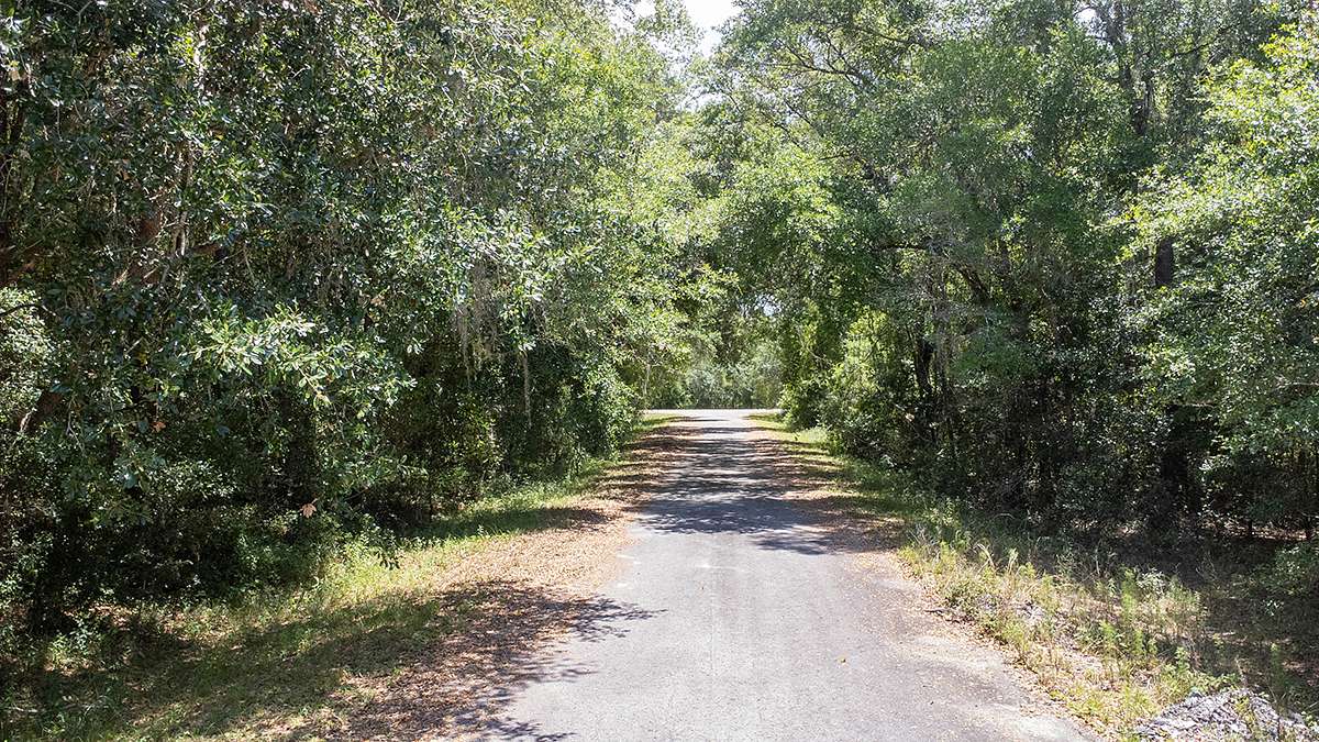 0.23 Acres of Residential Land for Sale in Ocklawaha, Florida