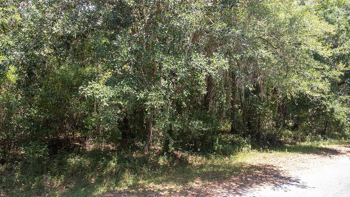 0.23 Acres of Residential Land for Sale in Ocklawaha, Florida