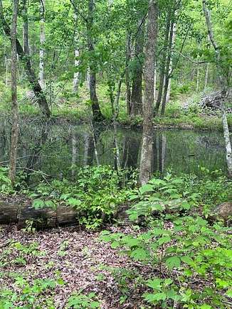 5.2 Acres of Residential Land for Sale in Wilder, Tennessee