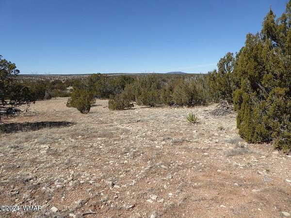 30 Acres of Land for Sale in Heber, Arizona