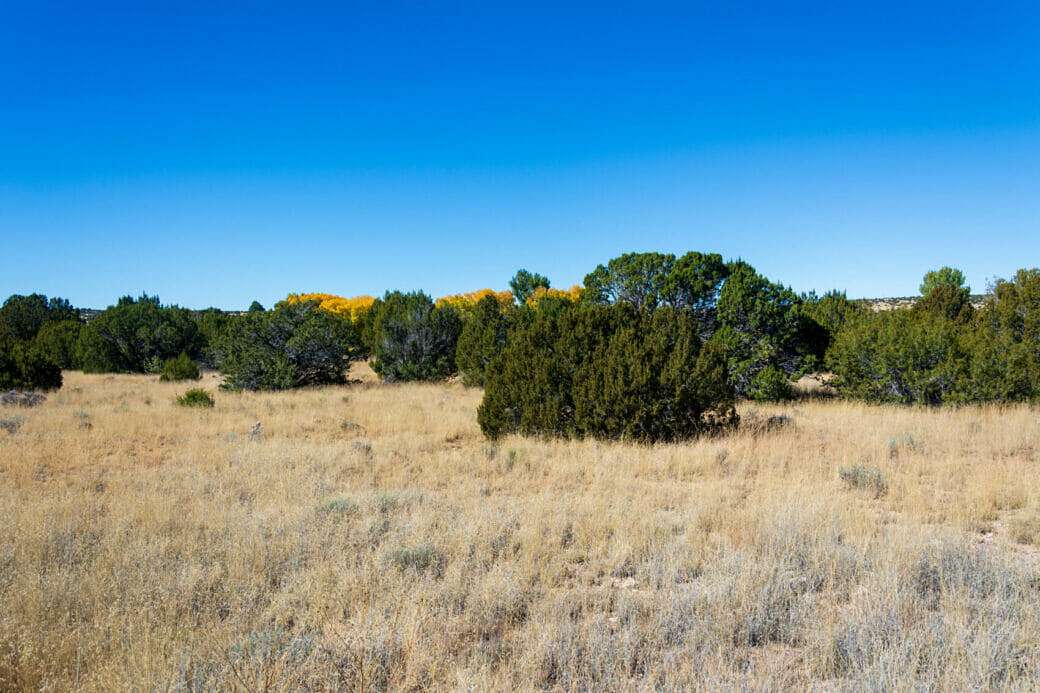 0.37 Acres of Residential Land for Sale in Concho, Arizona