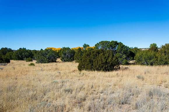 0.37 Acres of Residential Land for Sale in Concho, Arizona