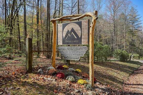 15.6 Acres of Improved Land for Sale in Ellijay, Georgia