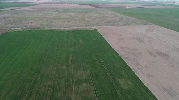 320 Acres of Agricultural Land for Sale in Perryton, Texas