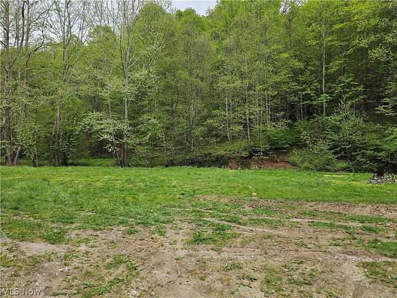 1 Acre of Residential Land for Sale in Looneyville, West Virginia