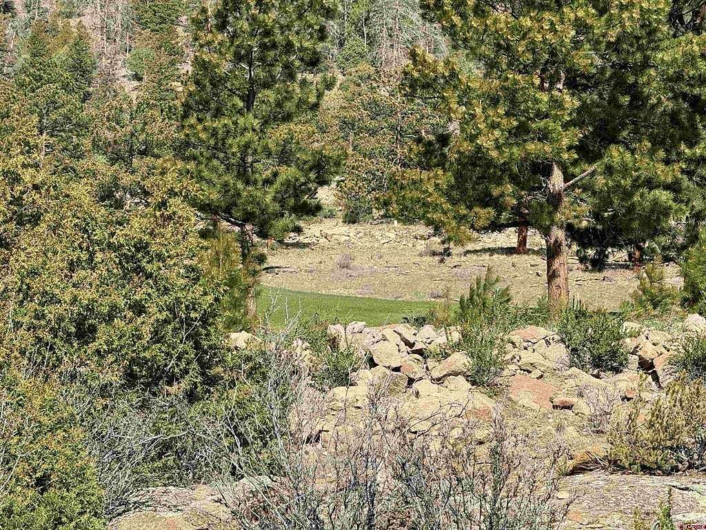 1.4 Acres of Residential Land for Sale in South Fork, Colorado