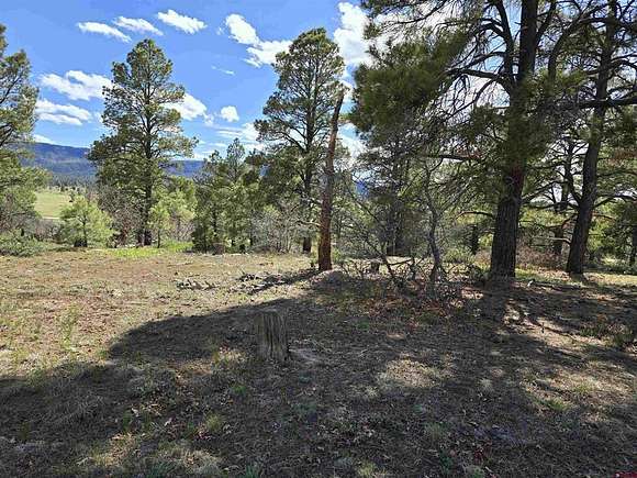 0.11 Acres of Residential Land for Sale in Pagosa Springs, Colorado