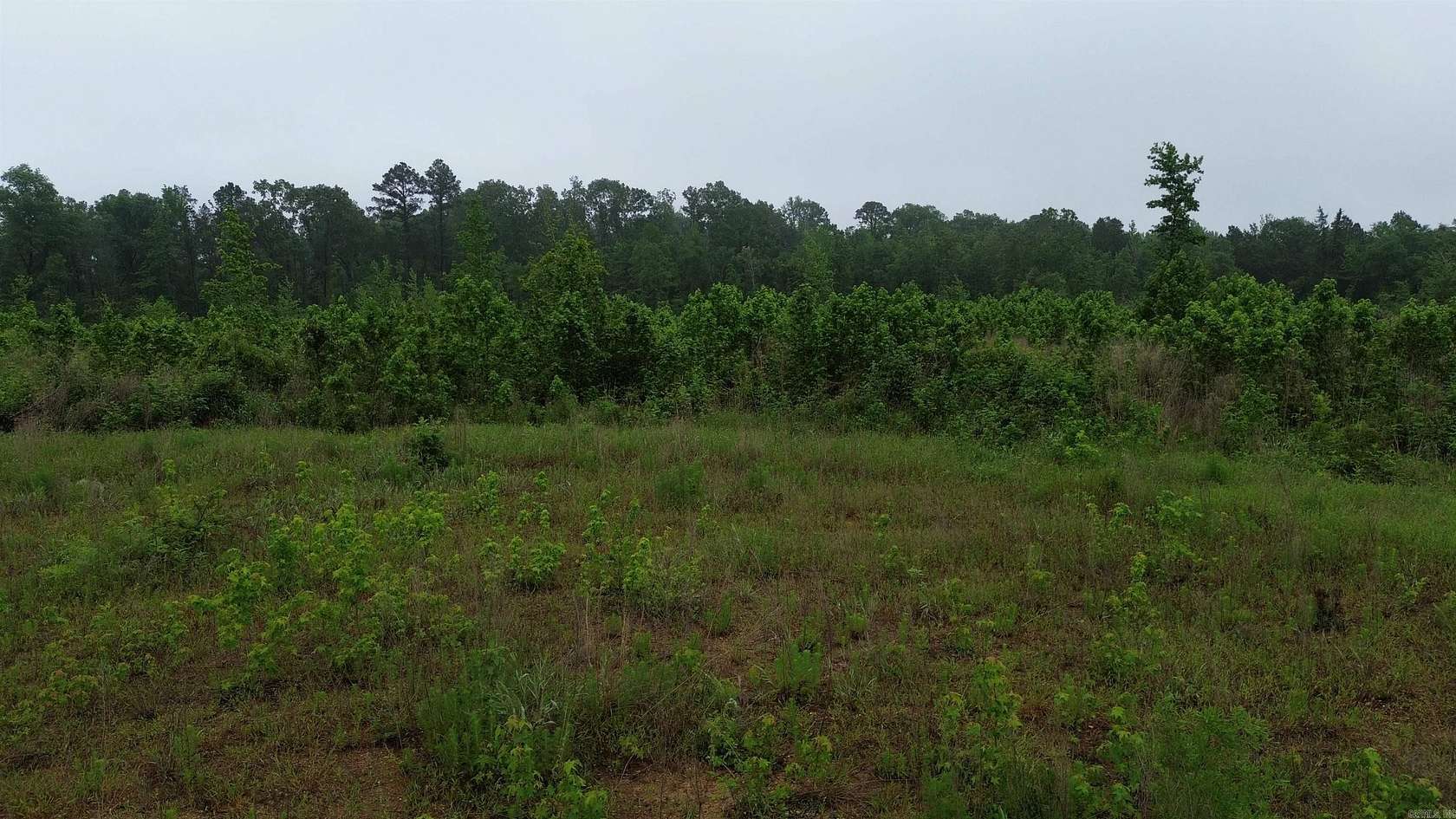 10 Acres of Land for Sale in Arkadelphia, Arkansas