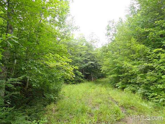 320 Acres of Recreational Land for Sale in Marquette, Michigan