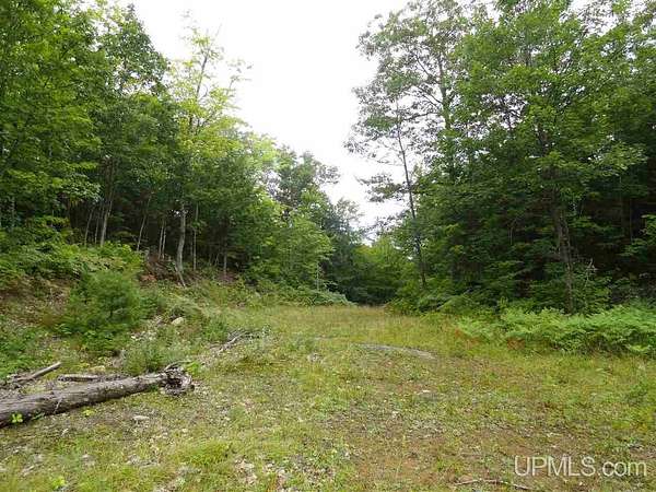 320 Acres of Recreational Land for Sale in Marquette, Michigan