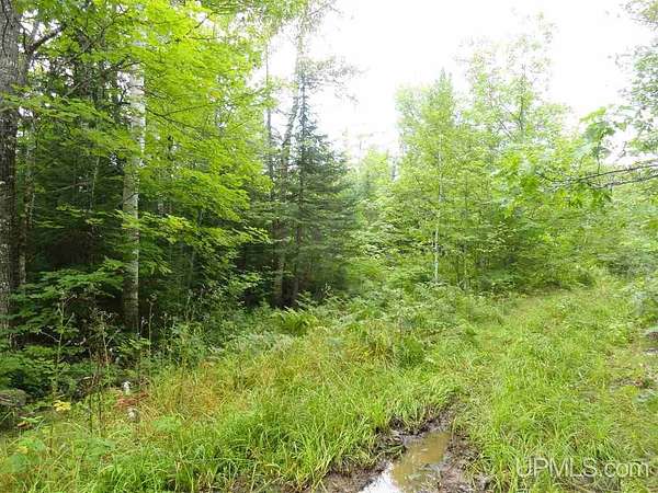 320 Acres of Recreational Land for Sale in Marquette, Michigan