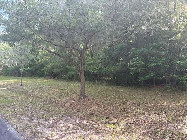 1.86 Acres of Residential Land for Sale in Gainesville, Florida
