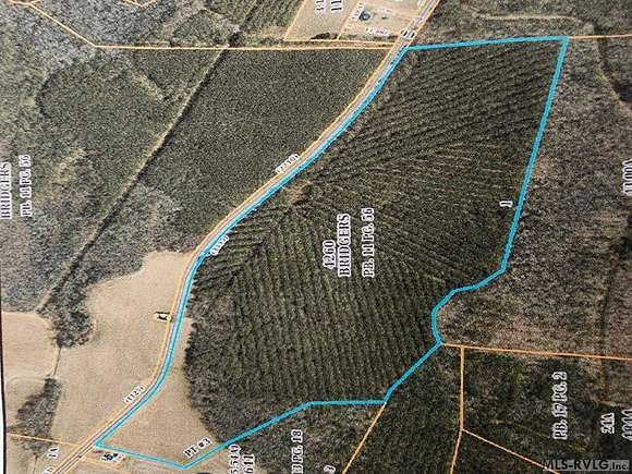 90 Acres of Land for Sale in Conway, North Carolina