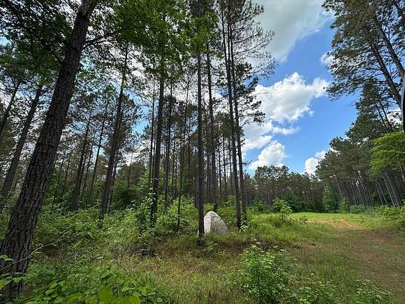 80 Acres of Recreational Land for Sale in Weir, Mississippi
