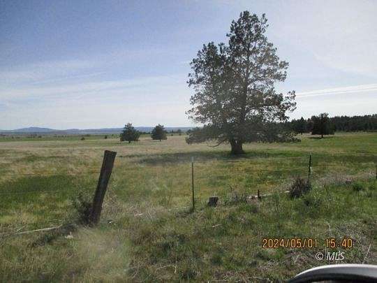 40 Acres of Agricultural Land for Sale in Alturas, California