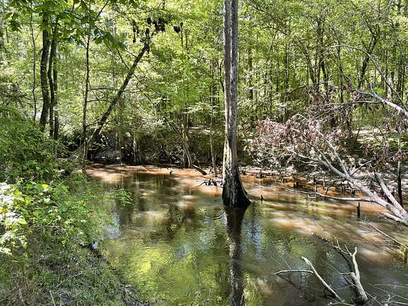 539 Acres of Recreational Land & Farm for Sale in Richton, Mississippi