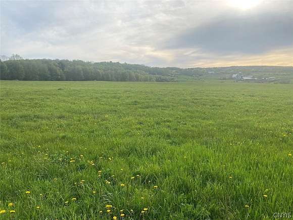 20.7 Acres of Agricultural Land for Sale in Centerville, New York