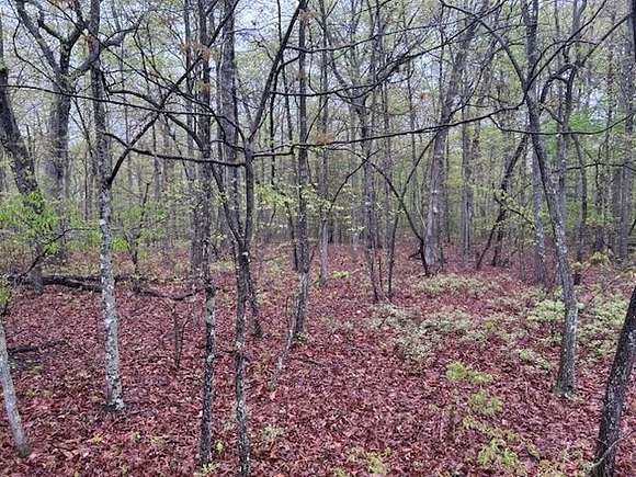 Residential Land for Sale in Crossville, Tennessee