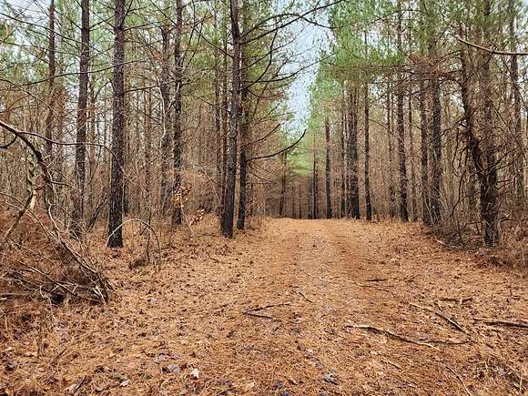151 Acres of Recreational Land for Sale in Robbins, Tennessee