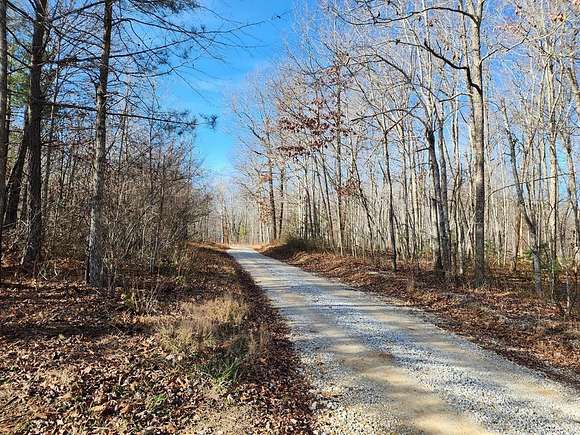 98.5 Acres of Land for Sale in Robbins, Tennessee