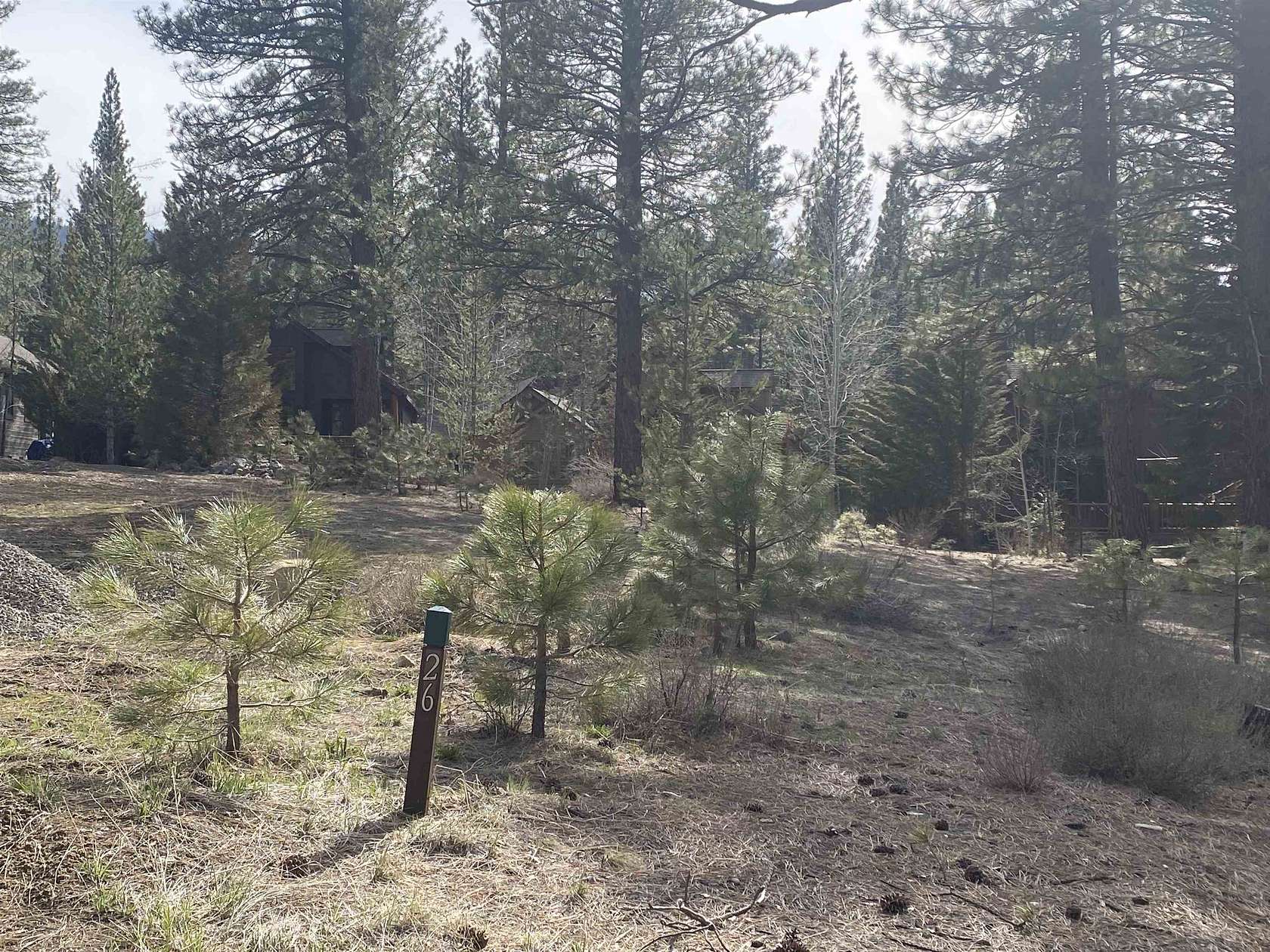 0.21 Acres of Residential Land for Sale in Clio, California