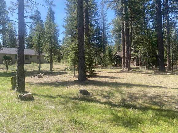 0.21 Acres of Residential Land for Sale in Clio, California