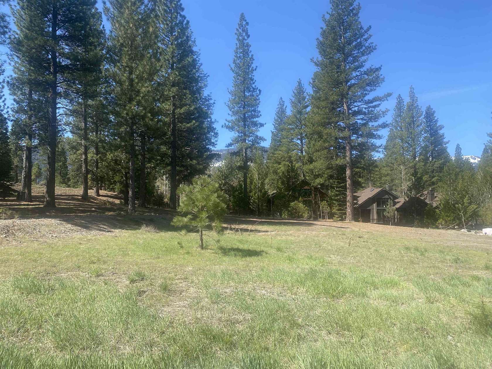 0.22 Acres of Residential Land for Sale in Clio, California