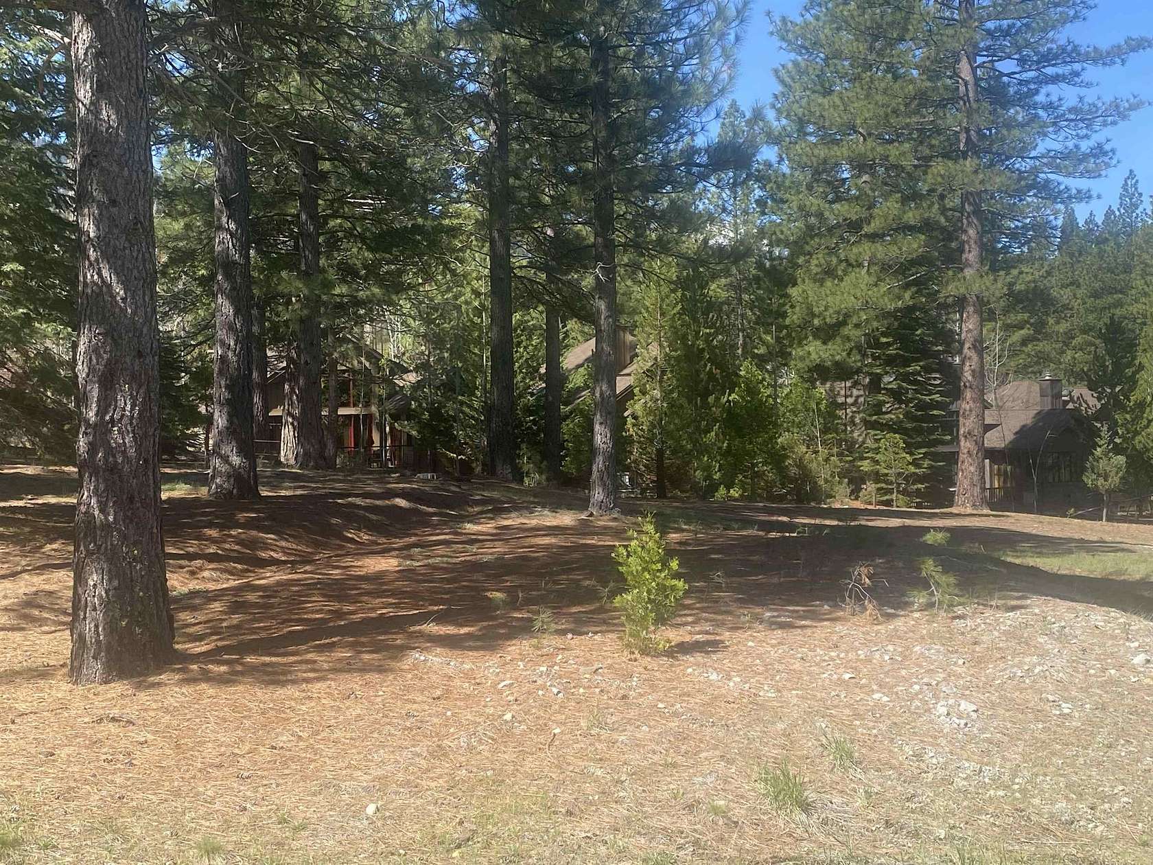 0.21 Acres of Residential Land for Sale in Clio, California
