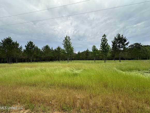 5 Acres of Residential Land for Sale in Canton, Mississippi